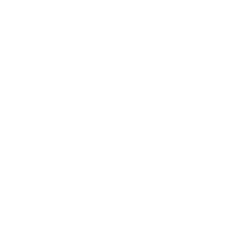 London Search Company Logo
